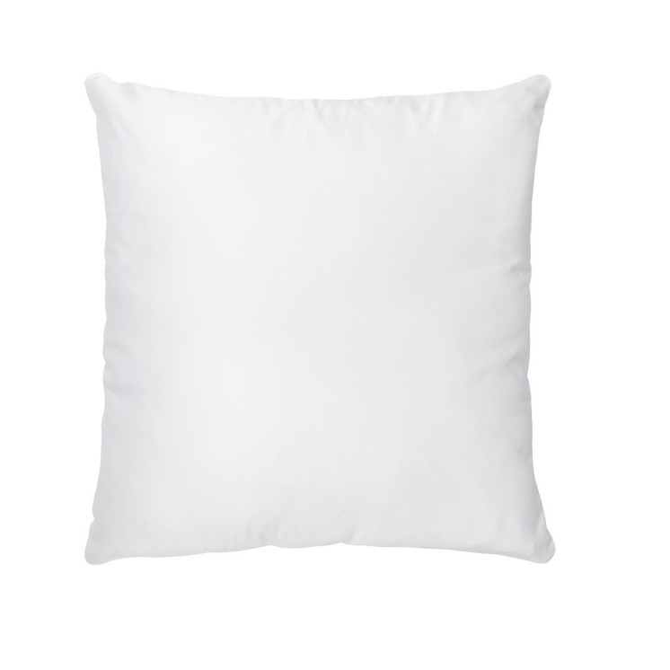Oreiller Pur Duvet canard 700 65x65