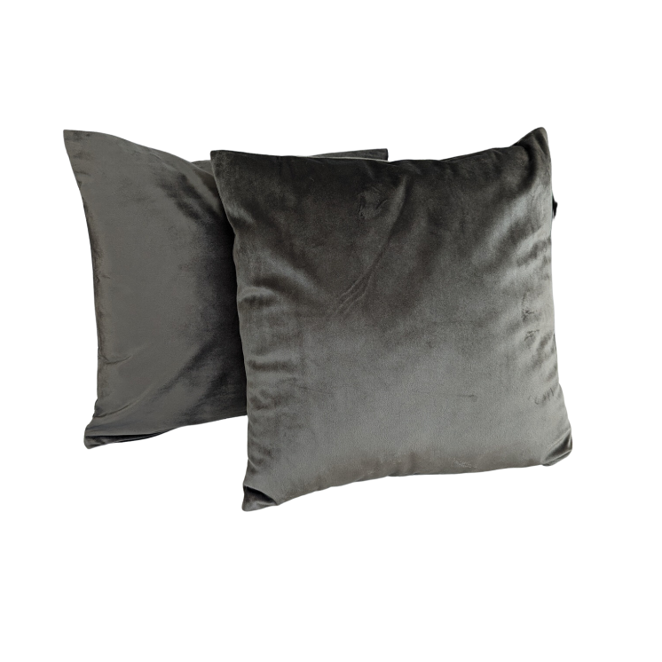 Lot de 2 coussins déco 45x45 velours Cendre
