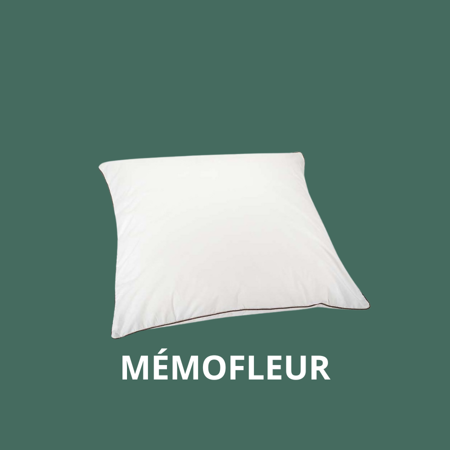 Kit sommeil softyne couette 1 personne + 1 oreiller lestra