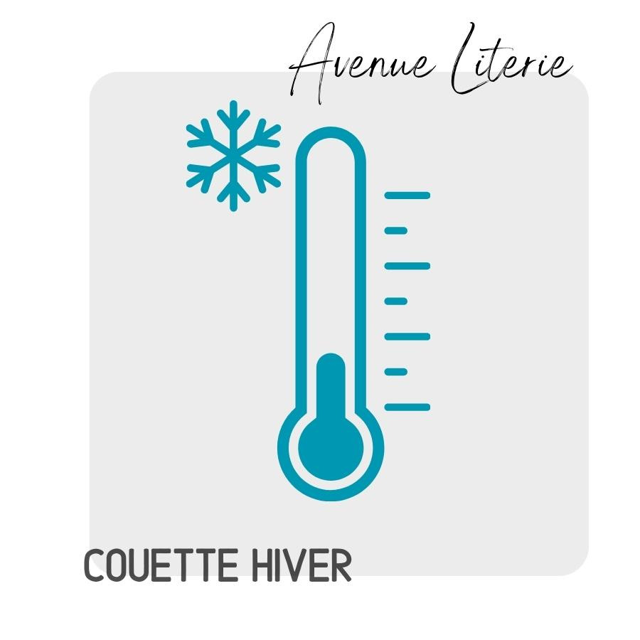 Couette 300x300 - Couette Elsa - couette king size - Avenue Literie