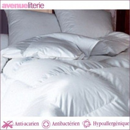 Edredon Caresse Hollofil percale LCL