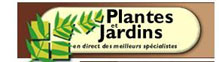 Plantes et jardins